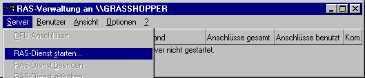 RAS Dienst Start